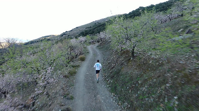 The Almond Trail
